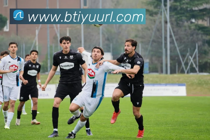 App Interface Preview